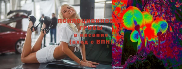 шишки Сафоново