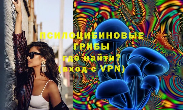 твердый Белоозёрский