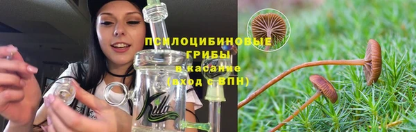 ешки Саяногорск