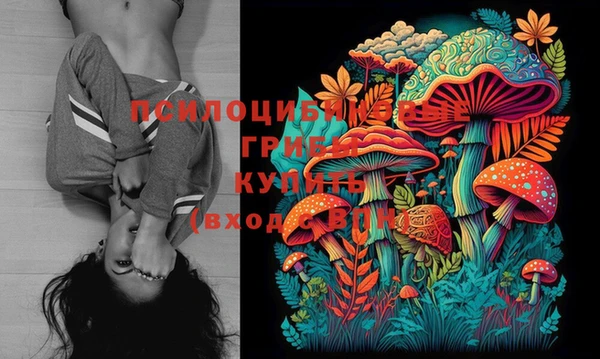 PSILOCYBIN Алексин