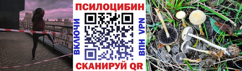 Галлюциногенные грибы мицелий  Беслан 
